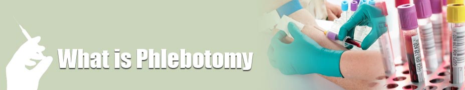 What Is Phlebotomy